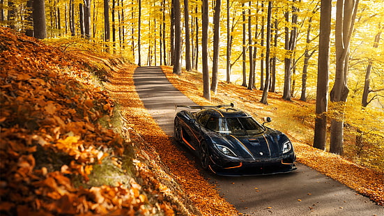 Hd Wallpaper Black Luxury Car Vehicle Nature Fall Leaves Trees Koenigsegg Wallpaper Flare