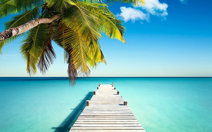Tropical paradise with palm, coast, island, Ocean, sun, Sea, sand, HD wallpaper