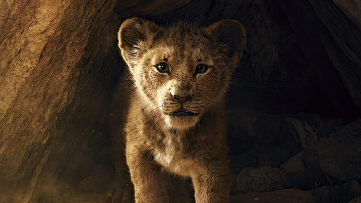 Movie, The Lion King (2019), Simba