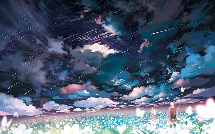 flowers, clouds, sky, Ginko (Mushishi), shooting stars, butterfly