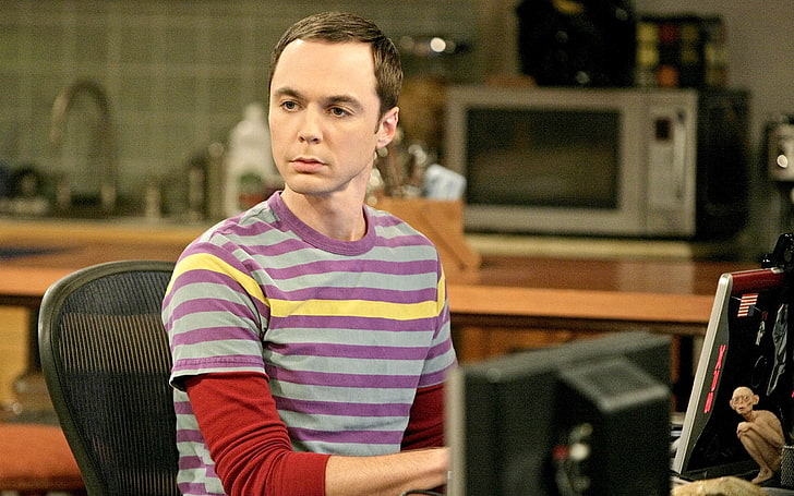 men's purple and gray striped crew-neck T-shirt, the big bang theory