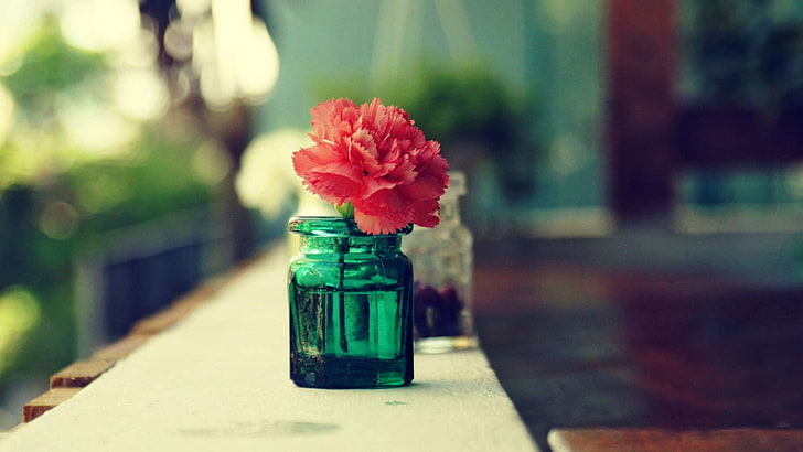 green glass jar, macro, flowers, flowering plant, table, vase