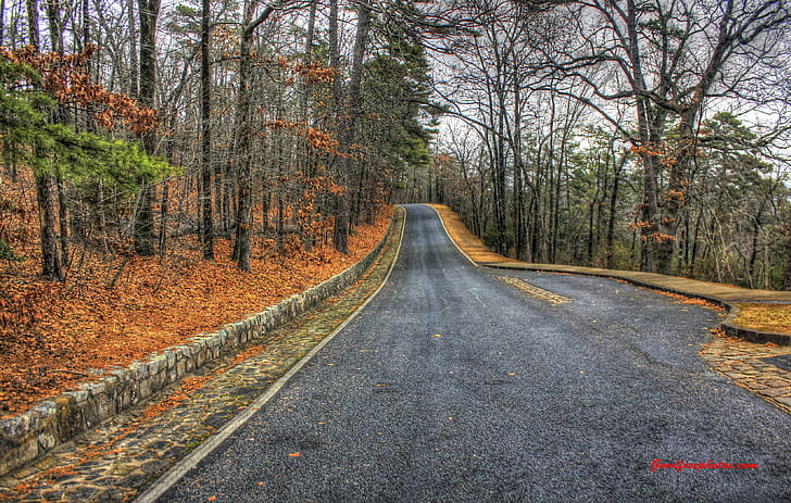 black asphalt road, Road to, to the top, Hot Springs Mountain, HD wallpaper