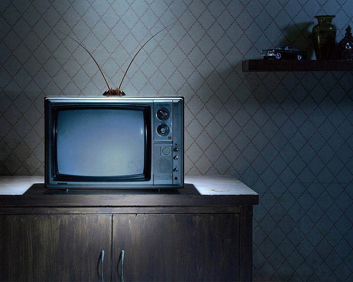 vintage gray television, mustache, TV, cockroach, antenna, table, HD wallpaper