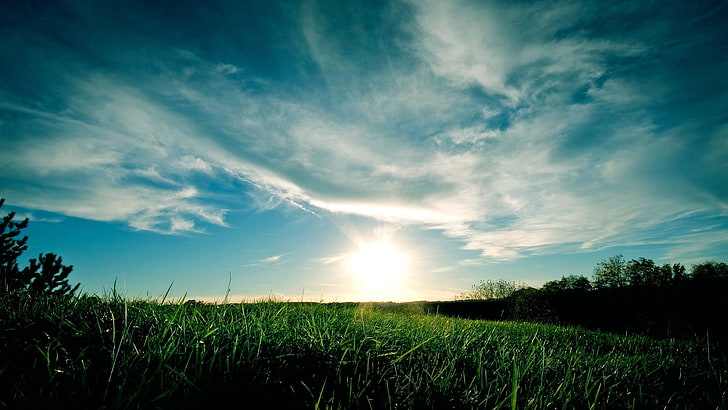 green grass, dark, clouds, nature, landscape, sky, sunlight, cloud - sky, HD wallpaper