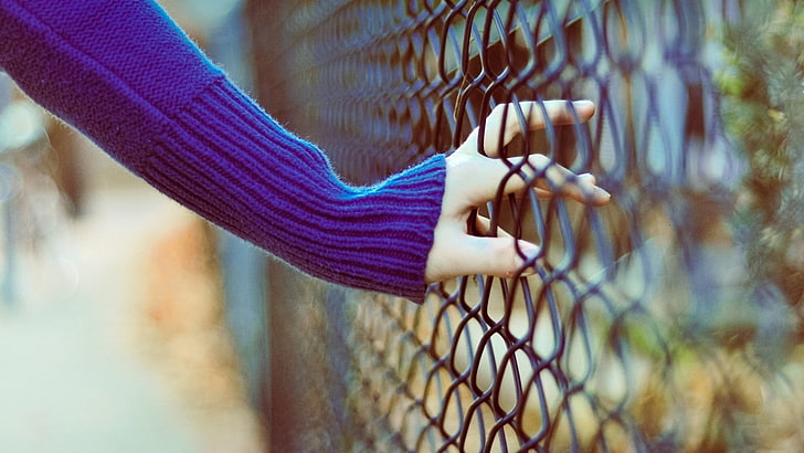 gray cyclone fence, girl, hand, net, outdoors, women, human Hand, HD wallpaper