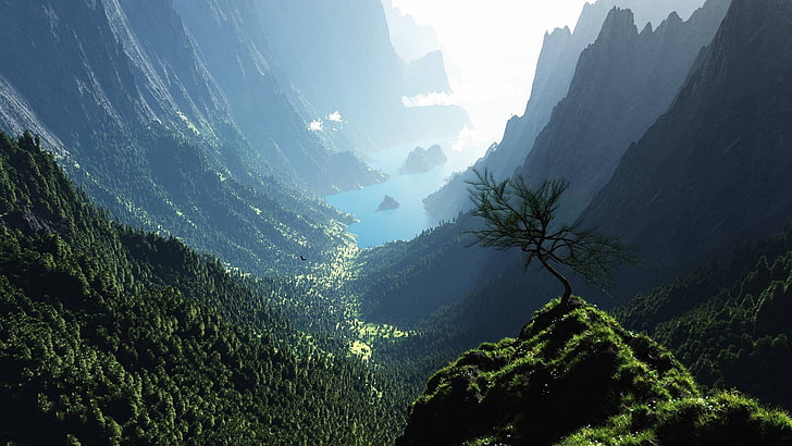 green tree, artwork, digital art, trees, forest, mountains, canyon, HD wallpaper
