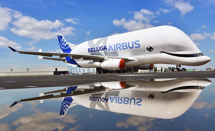 the plane, Reflection, Cargo, Airbus, Beluga, A300, Airbus Beluga