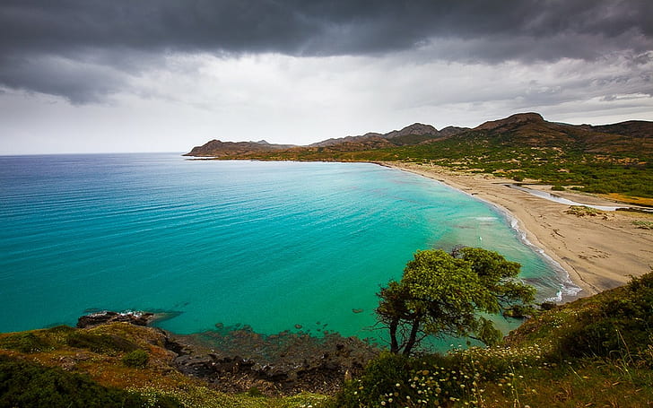 Nature, Landscape, Beach, Wildflowers, Sea, Turquoise, Water, Island, Hill, Corsica, HD wallpaper