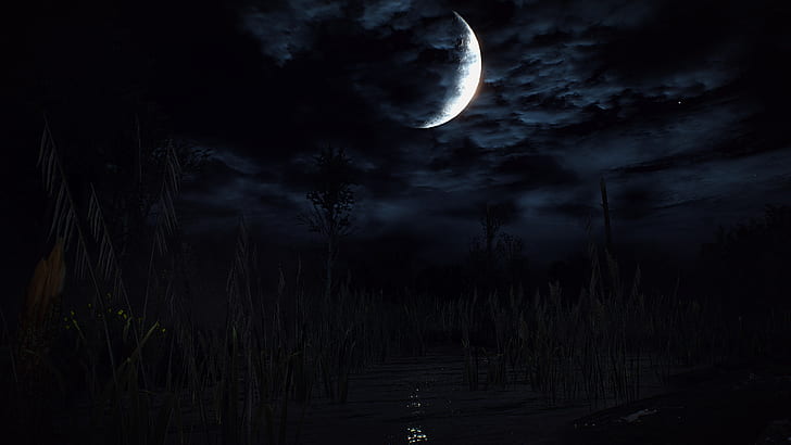 The Witcher - Realistic moon HD v.1 file - Mod DB