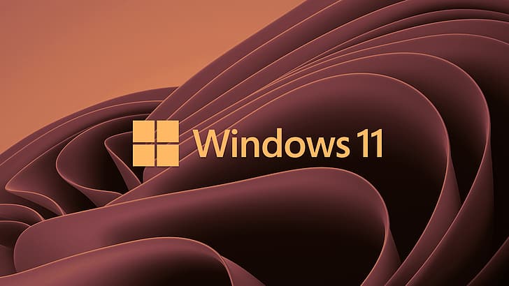 Windows11, minimalism, simple, Microsoft, windows logo, operating system, HD wallpaper