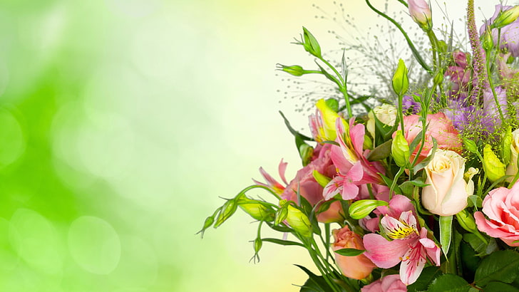 Hd Wallpaper Flower 4k Background Download Flowering Plant Beauty In Nature Wallpaper Flare