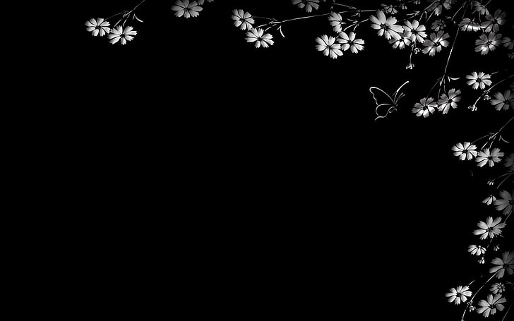 gray floral frame, butterfly, flower, black background, backgrounds, HD wallpaper