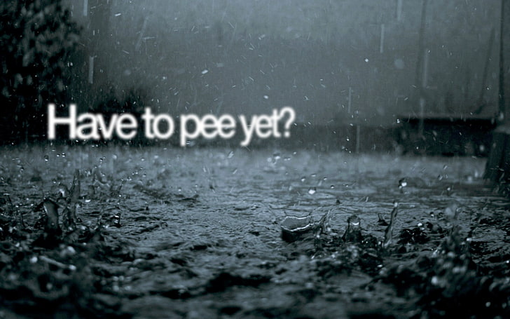 rain, quote, selective focus, no people, text, close-up, wet, HD wallpaper