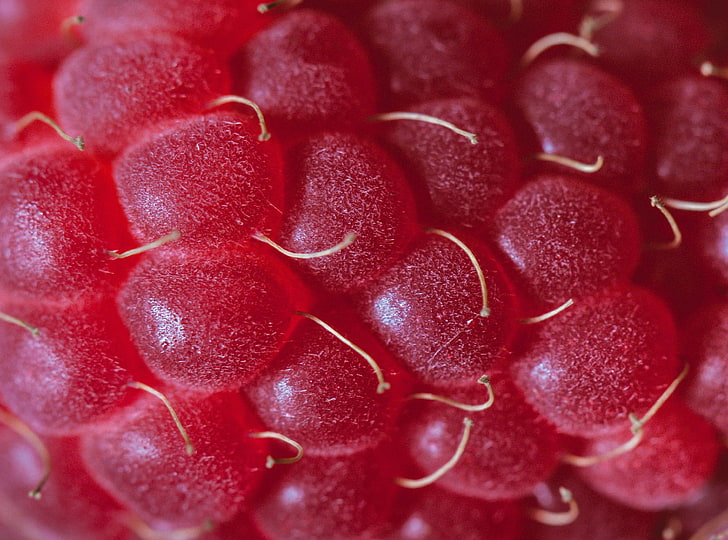 raspberries, macro, red, healthy eating, full frame, food, fruit, HD wallpaper
