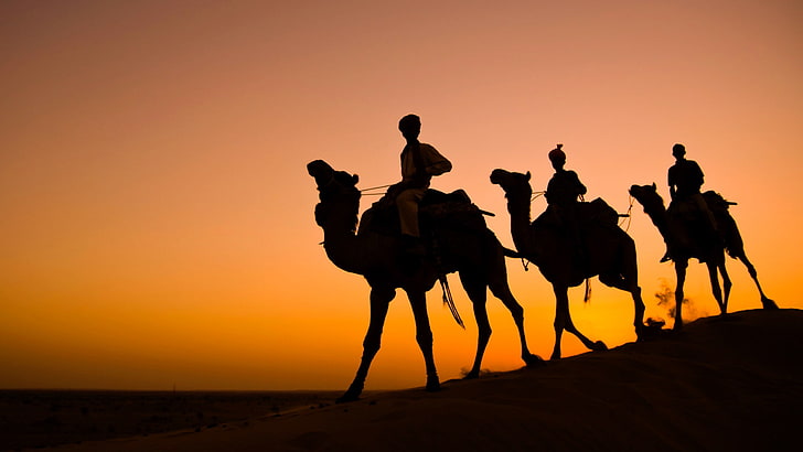 india silhouette camel caravan wallpaper preview
