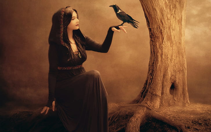 Beautiful fantasy girl, raven, tree, witch, black dress, HD wallpaper