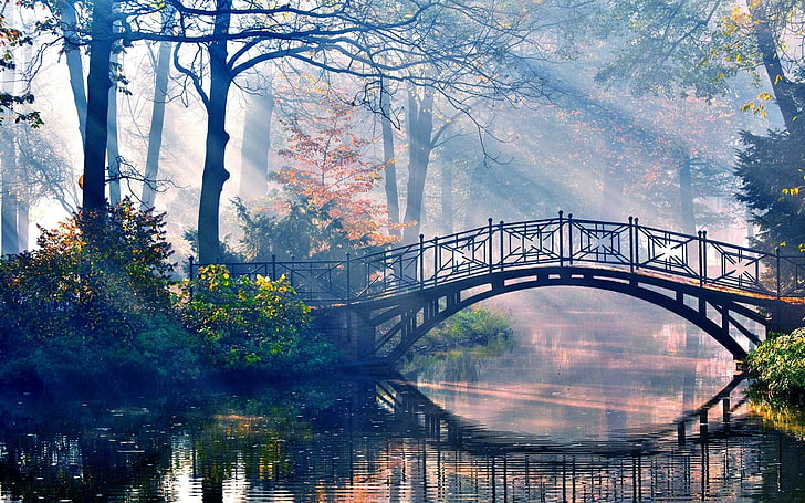 forest, river, bridge, trees, reflection, plant, bridge - man made structure, HD wallpaper