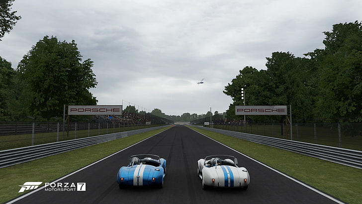Forza Motorsport 7, AC Cobra, face-off, transportation, tree, HD wallpaper