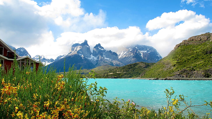 national park, torres del paine national park, chile, patagonian, HD wallpaper