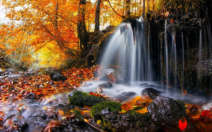 nature, landscape, waterfall, trees, leaves, moss, Romania, HD wallpaper