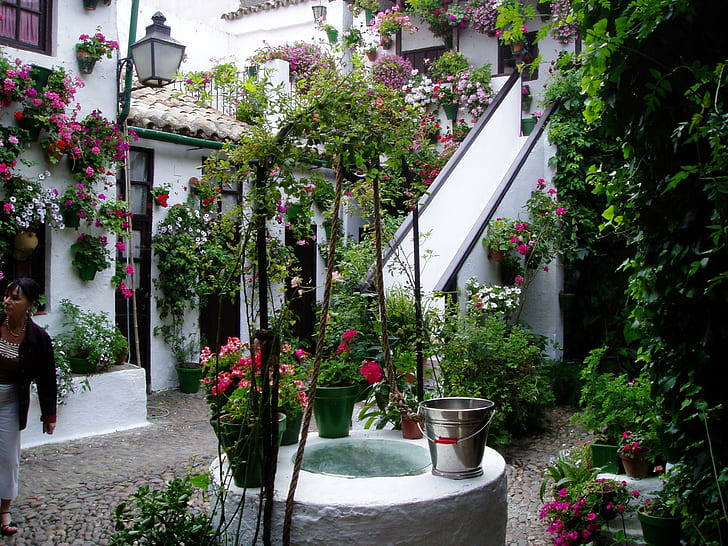 Patio, spain, wall, flowers, cordoba, andalucia, animals