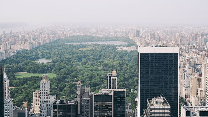 Central Park, cityscape, New York City, Manhattan, HD wallpaper