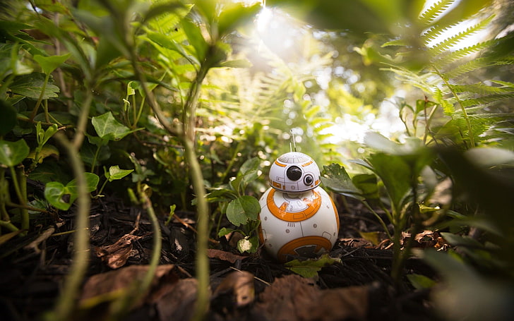 Star Wars BB-8 action figure, nature, plant, representation, art and craft, HD wallpaper