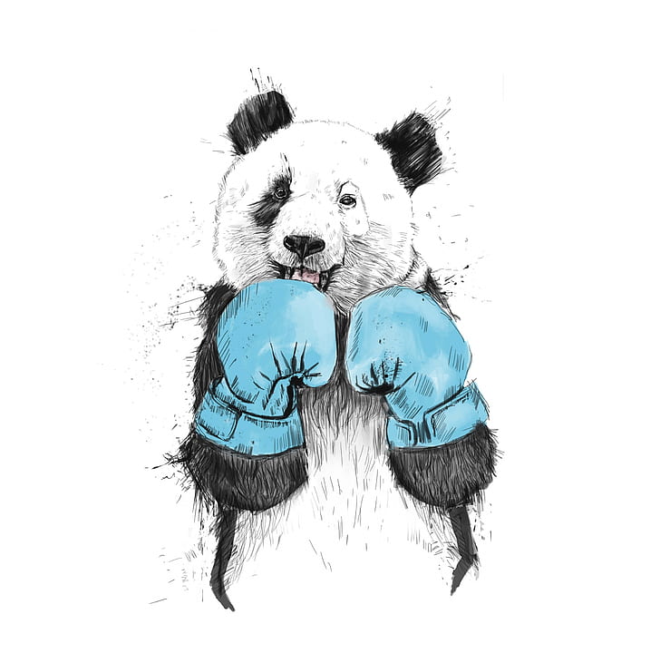 HD wallpaper: Minimalist Panda, Funny | Wallpaper Flare