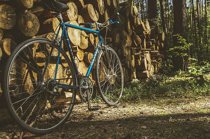bicycle, bike, brakes, classic, customized, cycling, daylight, HD wallpaper