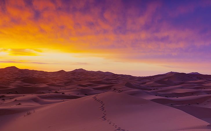 Sahara Desert Sand Dunes, sky, sunset, scenics - nature, beauty in nature, HD wallpaper