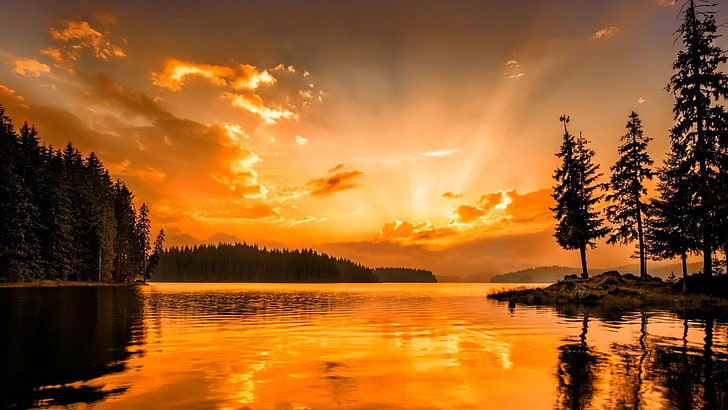 HD wallpaper: afterglow, evening sky, golden clouds, golden sunset ...