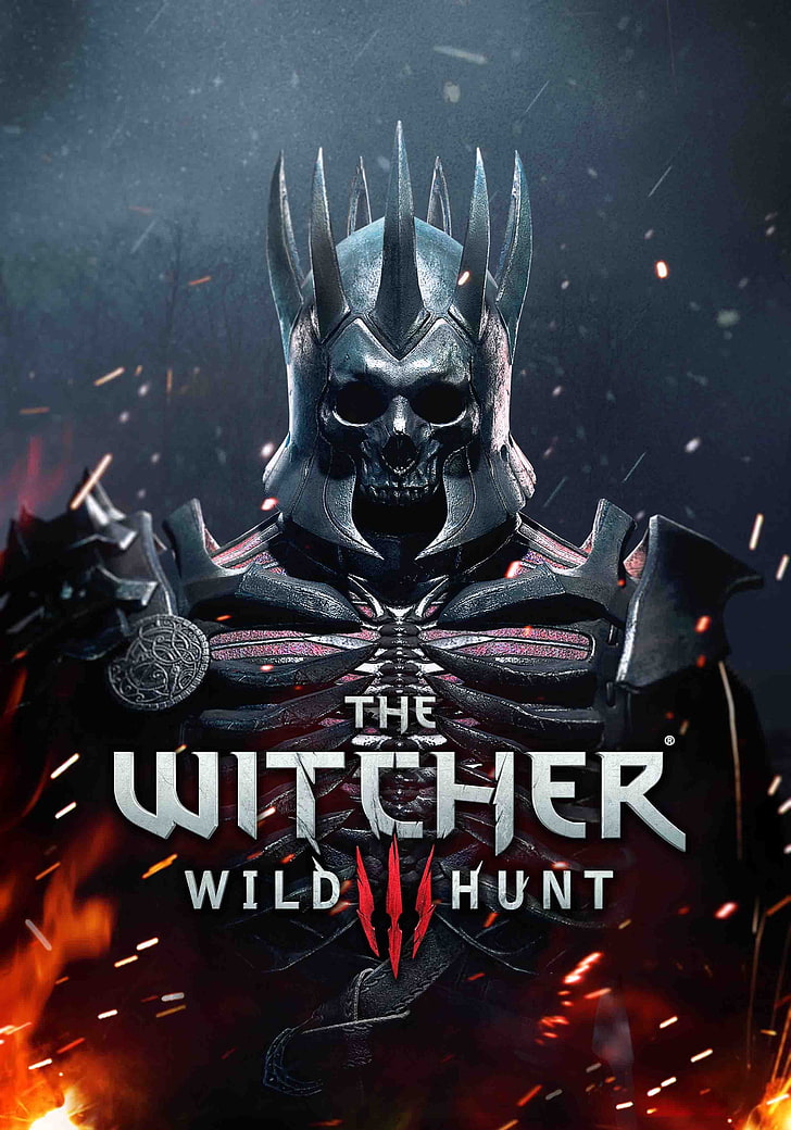 The Witcher Wild Hunt III poster, The Witcher 3: Wild Hunt, celebration, HD wallpaper
