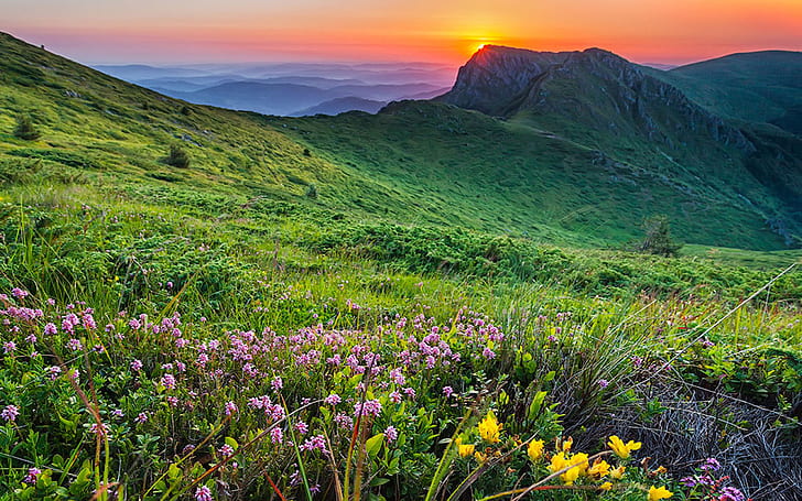 Landscape Mountain Meadow With Flowers And Green Grass Rocky Mountain Peak Sunset Orange Sky Bulgaria, HD wallpaper