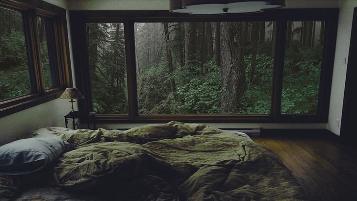 brown wooden framed glass window, bedroom, forest, interior, indoors, HD wallpaper
