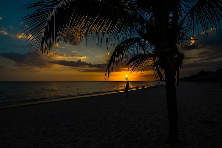 sunset, dark, palm trees, beach, sky, sea, arms up, sunlight, HD wallpaper
