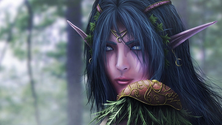elves, World of Warcraft, Blizzard Entertainment, video games, HD wallpaper