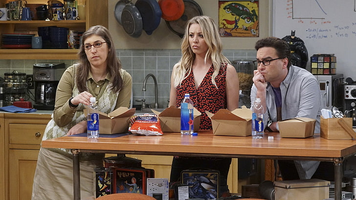 TV Show, The Big Bang Theory, Amy Farrah Fowler, Johnny Galecki