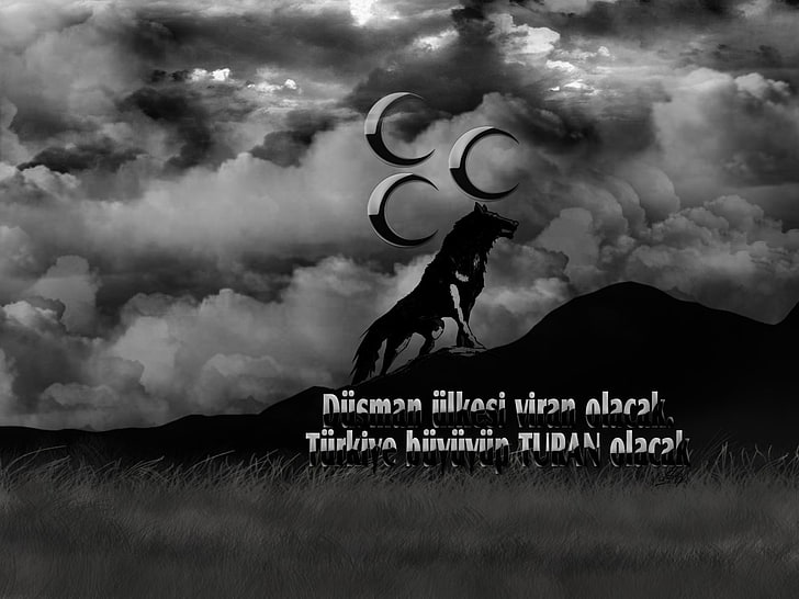 Wolf illustration art, Turkish, cloud - sky, land, field, nature