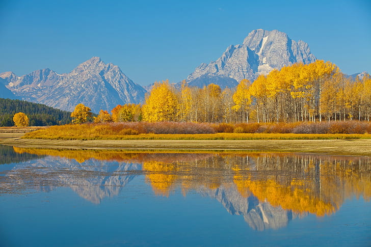 Grand Teton National Park HD, yellow tree forest, trees, Wyoming