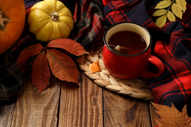 autumn, leaves, background, Board, colorful, pumpkin, maple, HD wallpaper