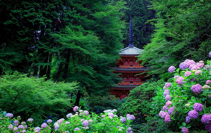 green and purple leaf plant, Asian architecture, pagoda, trees