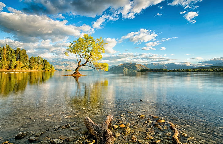 New Zealand, nature, lake, trees, reflection, Lake Wanaka, HD wallpaper