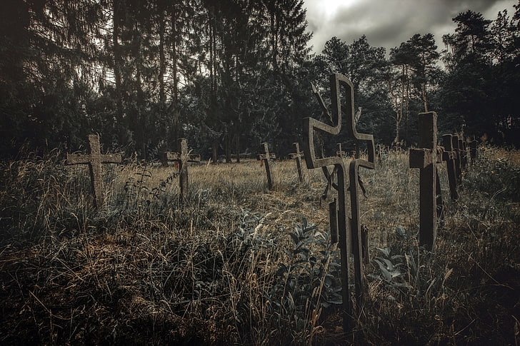 graveyards, cross, plant, land, tree, field, fence, boundary