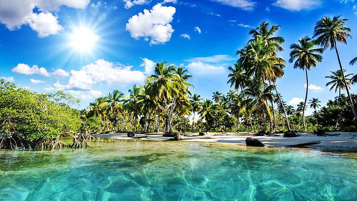 palms, lagoon, ocean, tree, palm tree, sea, caribbean, sky, HD wallpaper