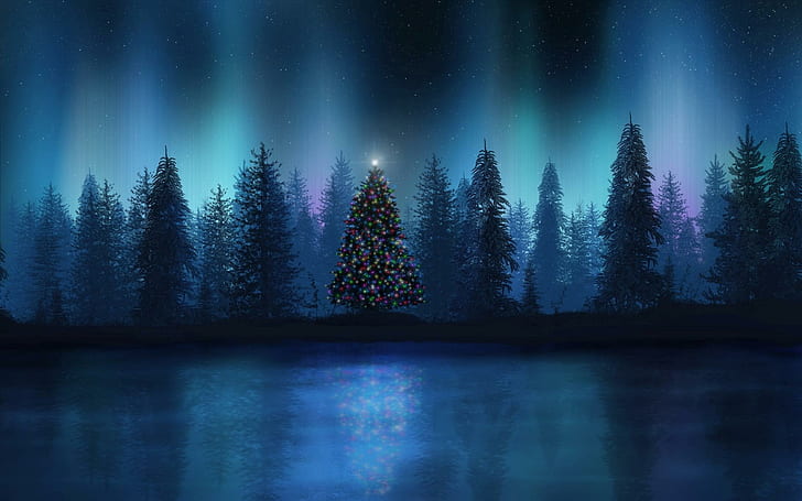 Christmas tree in the forest, fine trees, holidays, 1920x1200