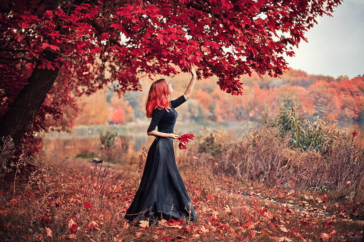 women's black dress, woman in black quarter-sleeved long dress picking red trees leaf during daytime