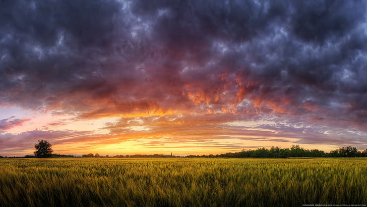 nature, HDR, sunset, landscape, plains, summer, sky, clouds, HD wallpaper