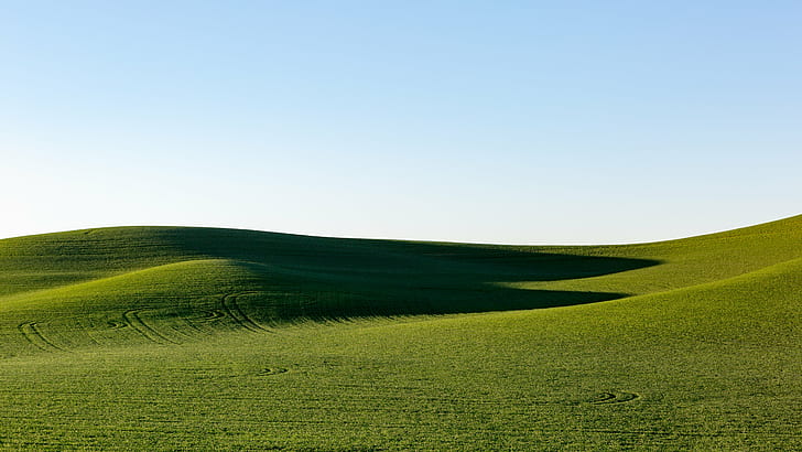 green grass mountains, Continuity, landscape, field, wheat, shadows, HD wallpaper