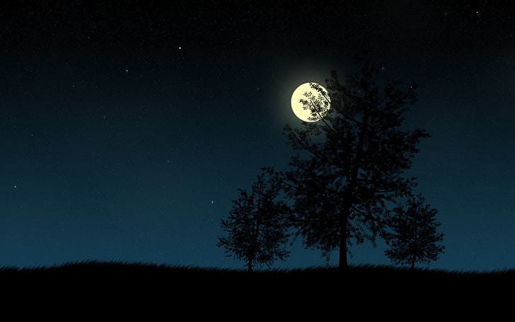 tall tree and full moon, trees, night, plant, sky, space, astronomy, HD wallpaper